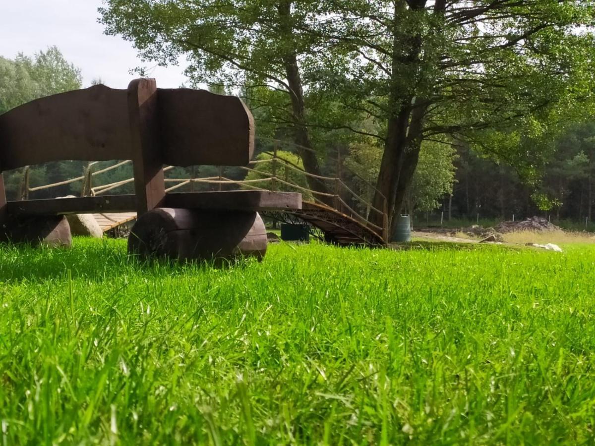 Forglamp * Bydgoszcz