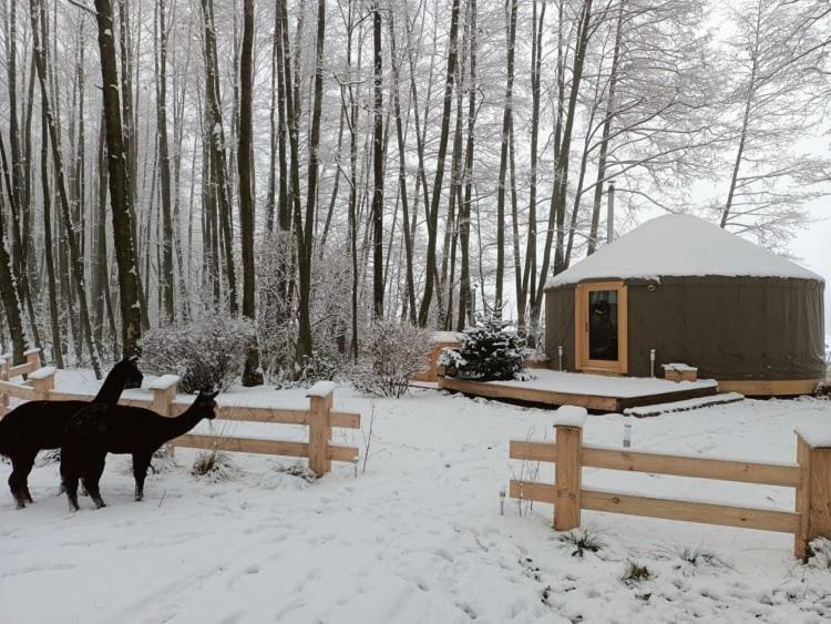 Forglamp Luxury tent