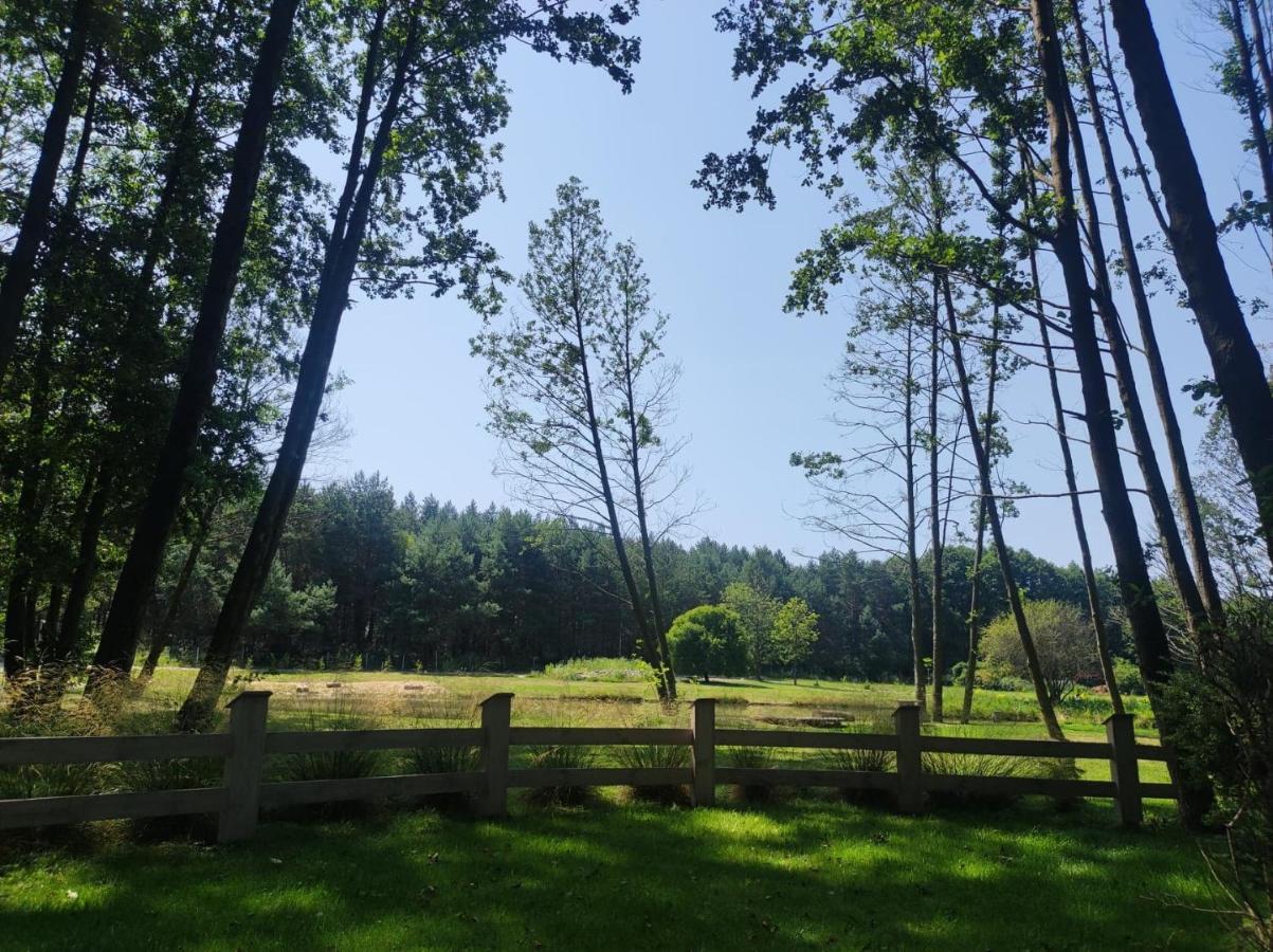 Forglamp Bydgoszcz