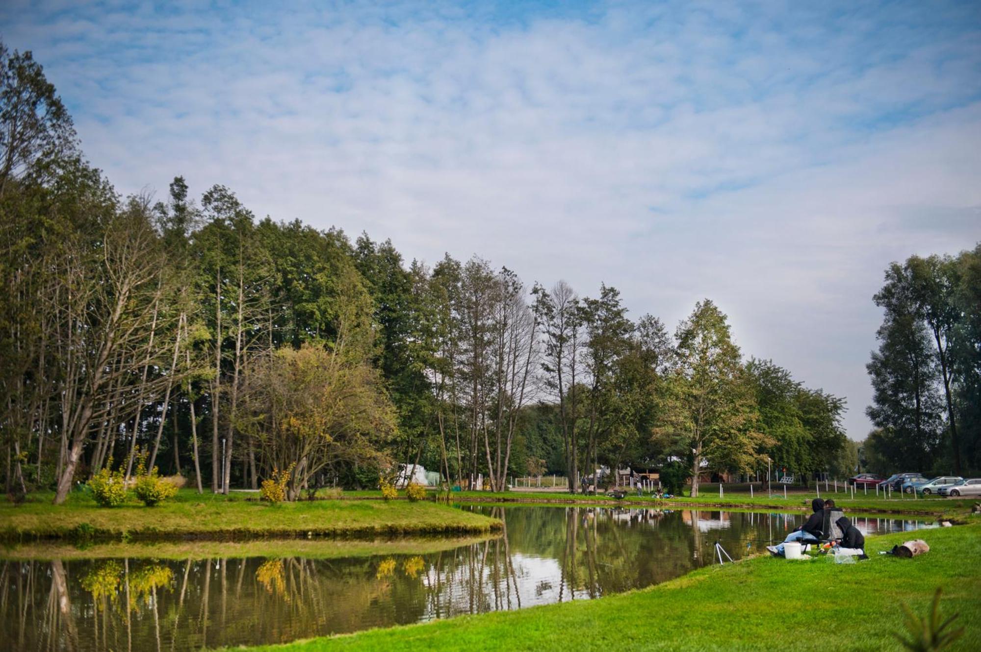Forglamp Bydgoszcz